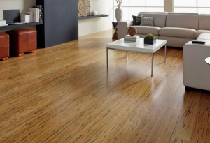 Sàn nhựa RailFlex dán keo giá rẻ nhất tại Hà Nội