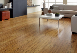 Mua sàn nhựa giả gỗ ở đâu Hà Nội chất lượng tốt nhất ?